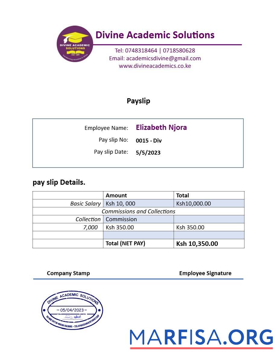 Realistic Divine Academic Solutions payslip real example